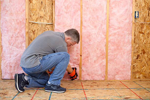 Best Blown-In Insulation  in Alma, MI